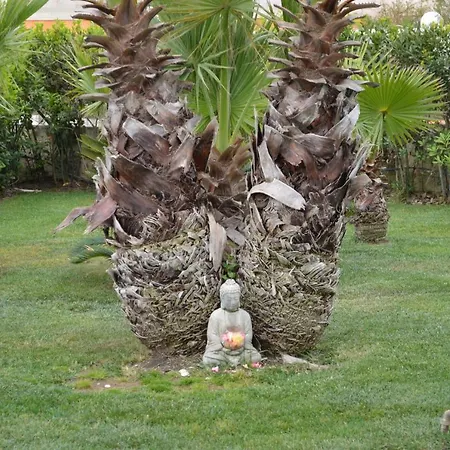 Bed & Breakfast Floripa Surf House Santa Maria Del Focallo
