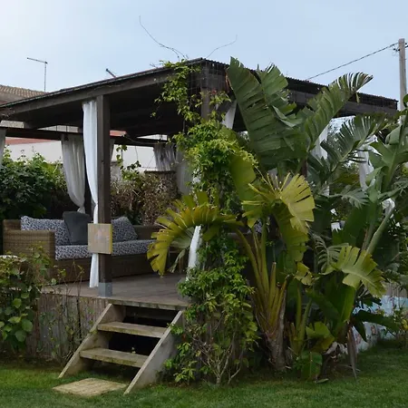 Floripa Surf House Bed & Breakfast