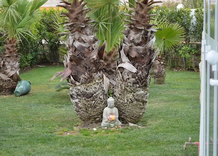 ベッド・アンド・ブレックファスト Floripa Surf House サンタ・マリア・デル・フォカッロ